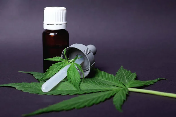 Concepto de cannabis medicinal, hoja verde marihuana y una pipeta con extracto de THC — Foto de Stock