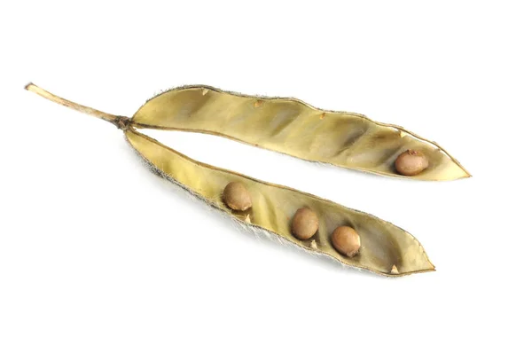 Lupine seed on white background — Stock Photo, Image