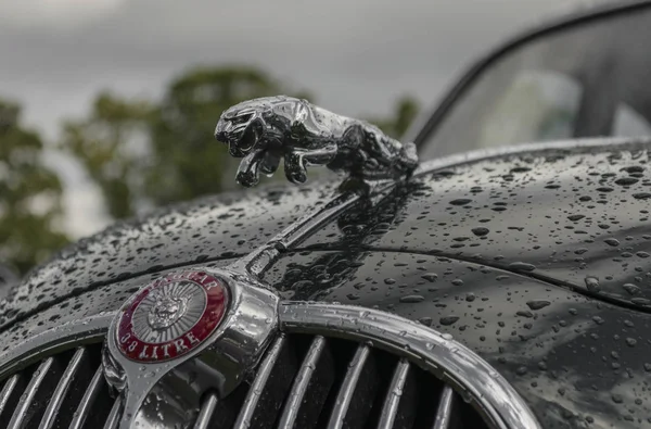 Jaguar sprong motorkap mascotte — Stockfoto