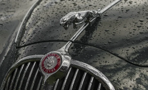 Jaguar motorkap mascotte — Stockfoto