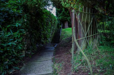 Bir patika ile tipik bir İngiliz parkta taş basamaklar için önde gelen eski parmaklıklar