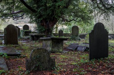 Bir büyümüş tarihi mezar bahçede North Wales kayrak bazı baş taşları ile