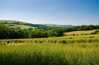 Flintshire 'ın yeşil Clwydian kırsalının güzel bir manzarası..