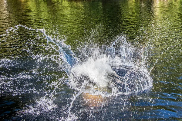 Прыгай в озеро. — стоковое фото