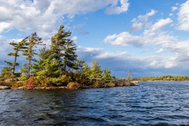 Gürcistan Körfezi, Ontario, Kanada 'nın kayalık kıyılarındaki rüzgarlı çam ağaçlarının sonbahar manzarası