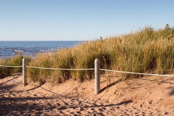 Sökvägen på stranden — Stockfoto