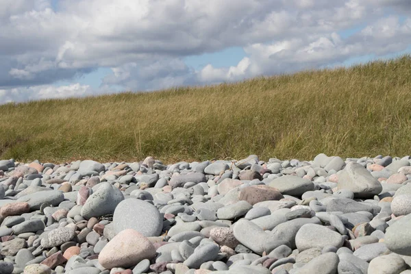 Скелі, трава і хмари на пляжі — стокове фото