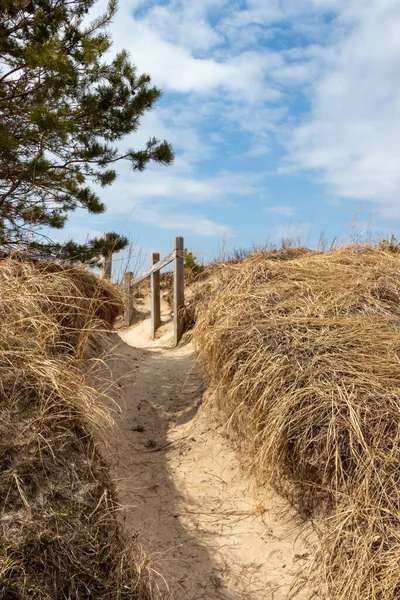 Strand Tillgång Spår Genom Sanddynerna Vid Sauble Beach Ontario Kanada — Stockfoto