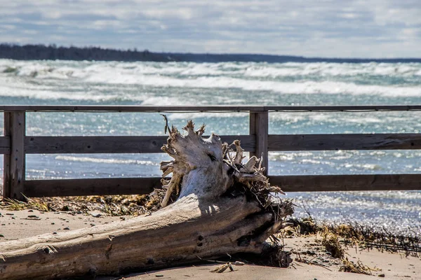 Baharın Güneşli Bir Gününde Sauble Ontario Kanada Sahilinde Büyük Bir — Stok fotoğraf