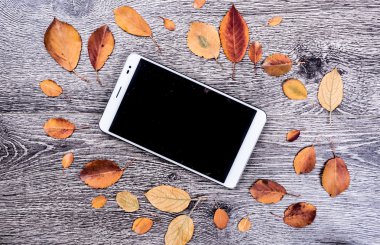 Beyaz modern tablet pc ile sonbahar yaprakları ile rustik klasik ahşap arka plan boş boş ekran.