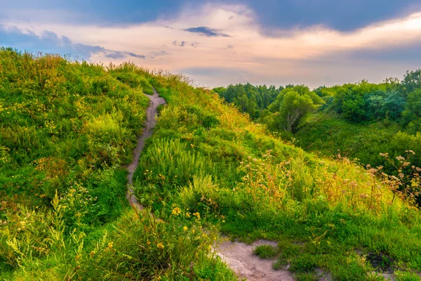 Pathway on a hill with wildflowers — Stock Photo, Image