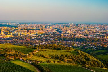 Viyana manzarası ve Tuna Nehri. Viyana, Avusturya.