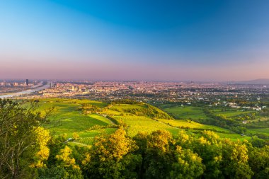 Viyana manzarası ve Tuna Nehri. Viyana, Avusturya.