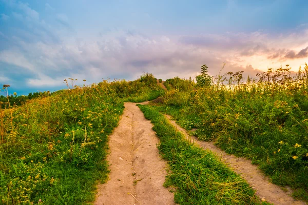 Sentiero su una collina con fiori di campo — Foto Stock