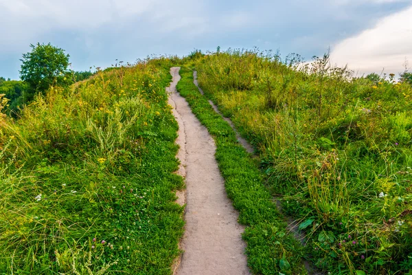 Pathway on a hill with wildflowers — Stock Photo, Image