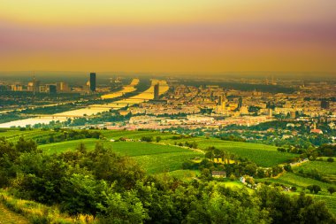 Viyana manzarası ve Tuna Nehri. Viyana, Avusturya.