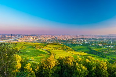 Viyana manzarası ve Tuna Nehri. Viyana, Avusturya.