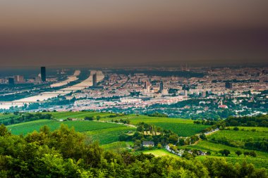 Viyana manzarası ve Tuna Nehri. Viyana, Avusturya.