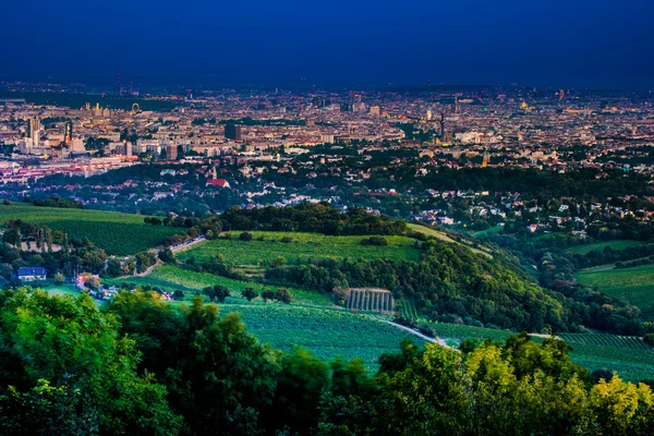 El horizonte de Viena y el río Danubio. Viena, Austria . — Foto de Stock