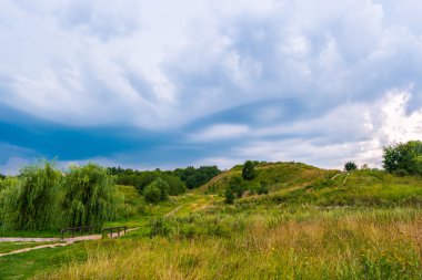 Yolu bir tepede kır çiçekleri ile