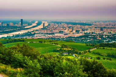Viyana manzarası ve Tuna Nehri. Viyana, Avusturya.