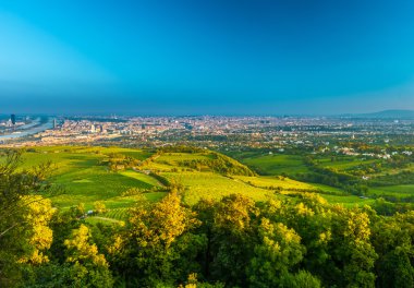 Viyana manzarası ve Tuna Nehri. Viyana, Avusturya.