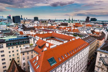Viyana çatılarının üzerinden havadan görünümü