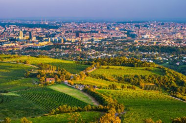 Viyana manzarası ve Tuna Nehri. Viyana, Avusturya.