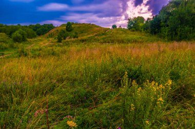 Yolu bir tepede kır çiçekleri ile