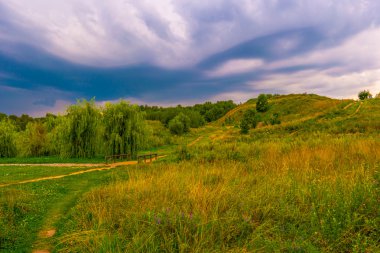 Yolu bir tepede kır çiçekleri ile