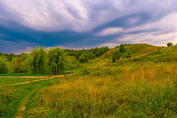 Yolu bir tepede kır çiçekleri ile