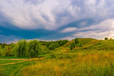 Yolu bir tepede kır çiçekleri ile