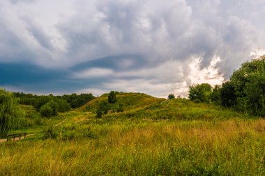 Yolu bir tepede kır çiçekleri ile