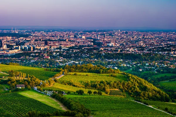 Viyana manzarası ve Tuna Nehri. Viyana, Avusturya. — Stok fotoğraf