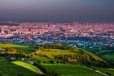 Viyana manzarası ve Tuna Nehri. Viyana, Avusturya.