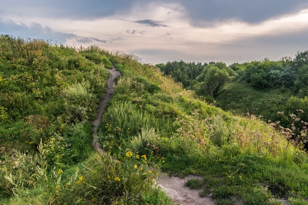 Pathway on a hill with wildflowers — Stock Photo, Image