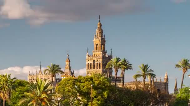 Giralda toren klokkentoren van de kathedraal van Sevilla. — Stockvideo