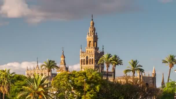 Giralda Spire Campanario de la Catedral de Sevilla . — Vídeos de Stock