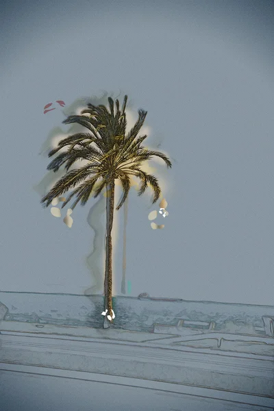 Palma de Mallorca'da sahilinde palmiye ağaçları — Stok fotoğraf