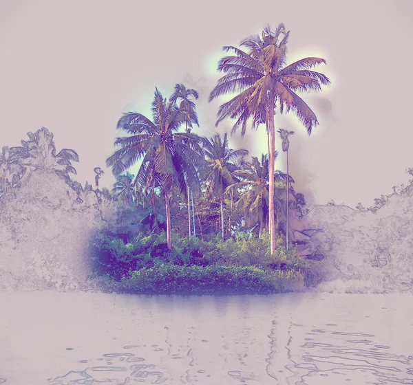 Güzel bir güneşli gün deniz sahilinde palmiye ağaçlarının.