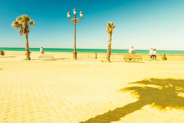 Palmiers le long de la côte à Cadix par une belle journée ensoleillée . — Photo