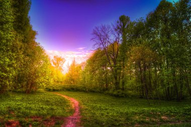 Yolu bir tepede kır çiçekleri ile. Güzel doğal peyzaj