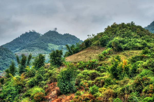 Hermoso paisaje del norte de Vietnam — Foto de Stock