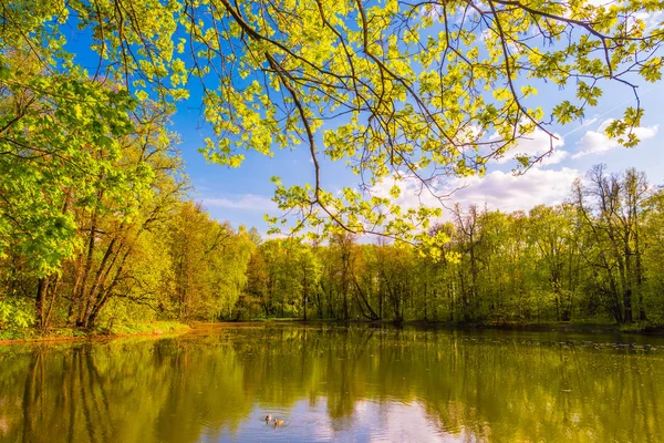 Herbstlandschaft. Park im Herbst. — Stockfoto