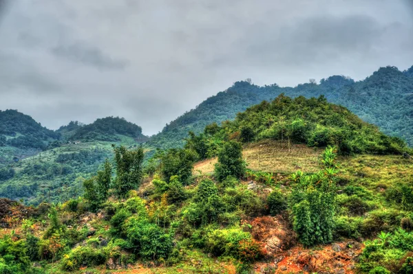 Wunderschöne Landschaft Nordvietnams — Stockfoto