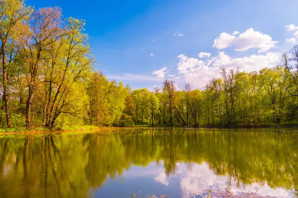 Paesaggio autunnale. Parco in autunno . — Foto Stock