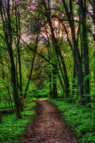 Őszi táj. őszi Park. — Stock Fotó