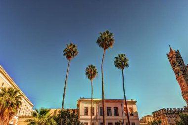 Arka büyük katedral Palermo, Sicilya