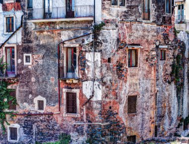 Kırmızı eski tuğla duvar ile windows ve yeşil sarmaşık