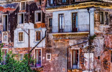 Kırmızı eski tuğla duvar ile windows ve yeşil sarmaşık